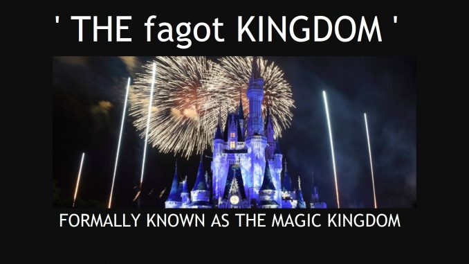 DISNEY fagot KINGDOM TO SUPPORT 5% OF THE POPULATIONS GOOD NAME